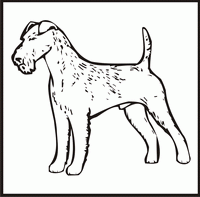 Irish Terrier design