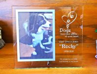 Engraved 5" x 7" Dog Memorial Picture Frame