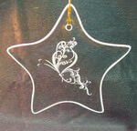 Star Ornament/Suncatcher with etched butterfly swirls design deeply sandblasted by hand out of the glass for a personalized custom ornament or suncatcher
