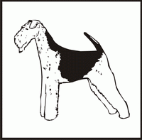 Airedale design