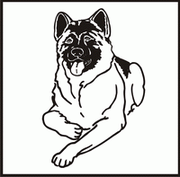 Akita design