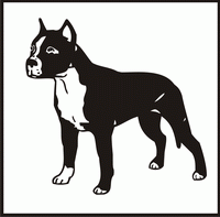 American Staffordshire design