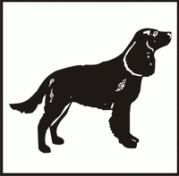 American Water Spaniel design