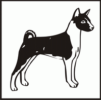 Basenji design