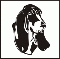 Basset Hound, Head design