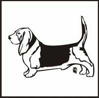 Basset Hound design