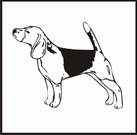 Beagle design