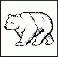 Bear Design