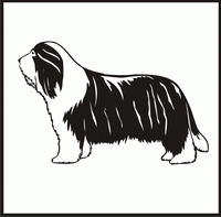 Bearded Collie design