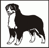 Bernese Mountain Dog design