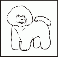 Bichon Frise design