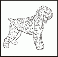 Black Russian Terrier design