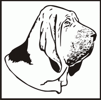 Bloodhound, Head design
