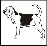 Bloodhound design