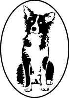 Border Collie 2 design