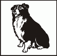 Border Collie design