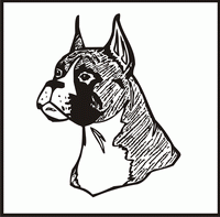 Boxer, Head design