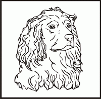 Boykin Spaniel design