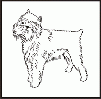 Brussels Griffon design