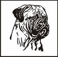 Bull Mastiff, Head design