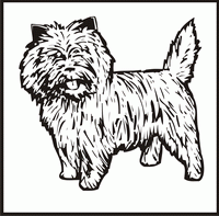 Cairn Terrier design