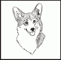 Corgi Pembroke, Head design