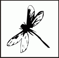 Dragonfly Design