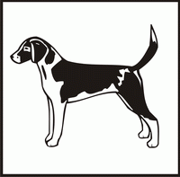 English Fox Hound design