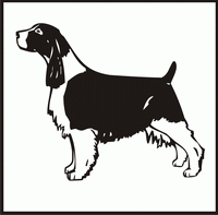 English Springer Spaniel design