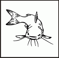 Fish 1 Design