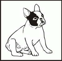 French Bulldog design