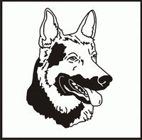 German Shepherd, Head design