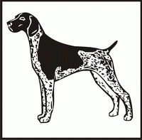 German Shorthaired Pointer design