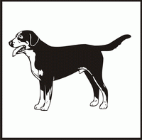 Greater Swiss Mountain Dog design