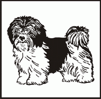 Havanese design