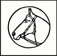 Horse 1 Design