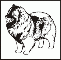 Keeshond design