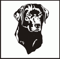 Labrador Retriever, Head design