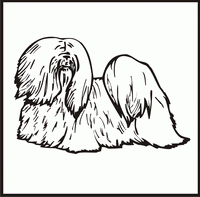 Lhasa Apso design