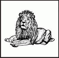 Lion Design