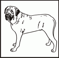 Mastiff design