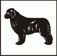 Newfoundland design