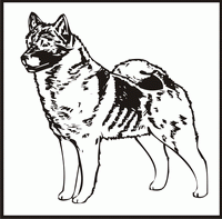 Norwegian Elkhound design