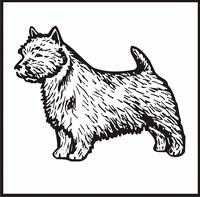 Norwich Terrier design
