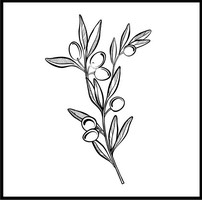 Olives Branch Design