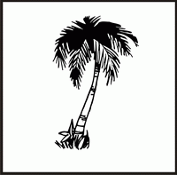 Palm Tree 2 Design
