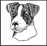 Parson Russell Terrier design