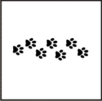 Paw Prints Design