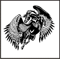 Pegasus Design