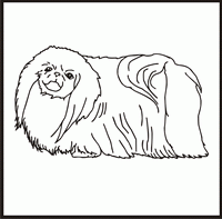 Pekingese design